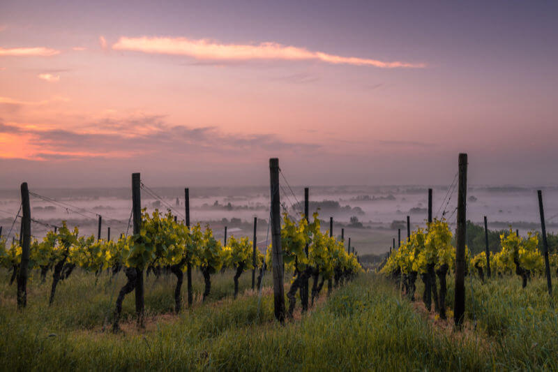 Peel Region Charters & Tours