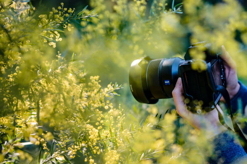 Peel Region Charters & Tours